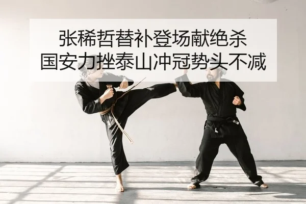 张稀哲替补登场献绝杀 国安力挫泰山冲冠势头不减